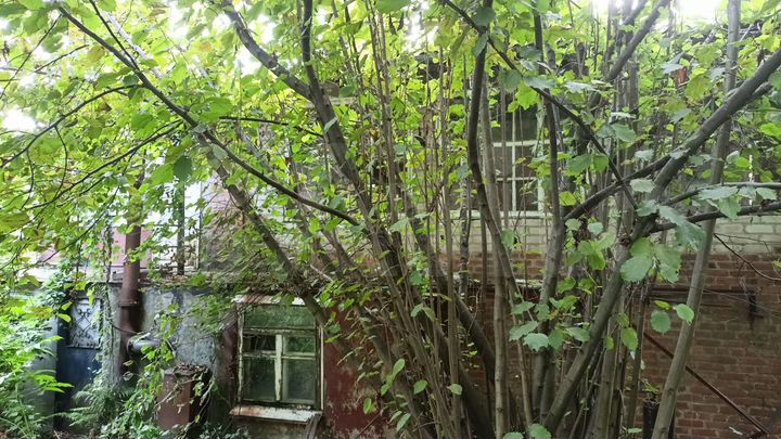 Дом 172,5 м² на участке 9 сот.