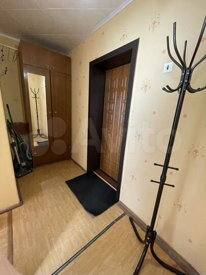 1-к. квартира, 30,5 м², 2/3 эт.