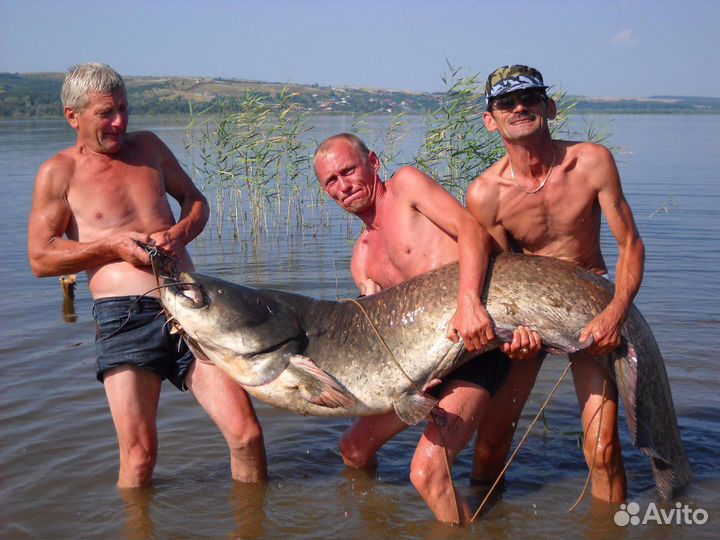 Квок Круглая эsка