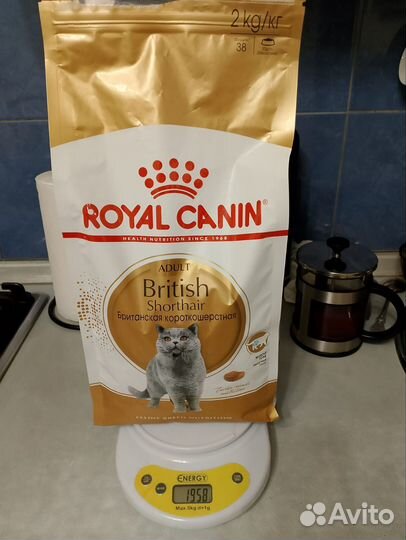 Сухой корм для британских кошек royal canin