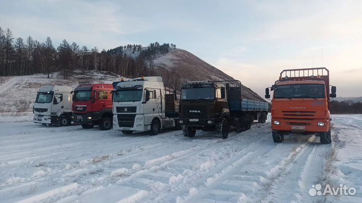 Услуги трала и перевозка грузов