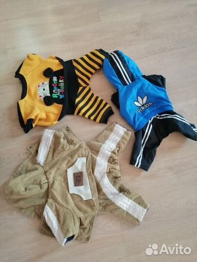 Одежда для маленьких собак