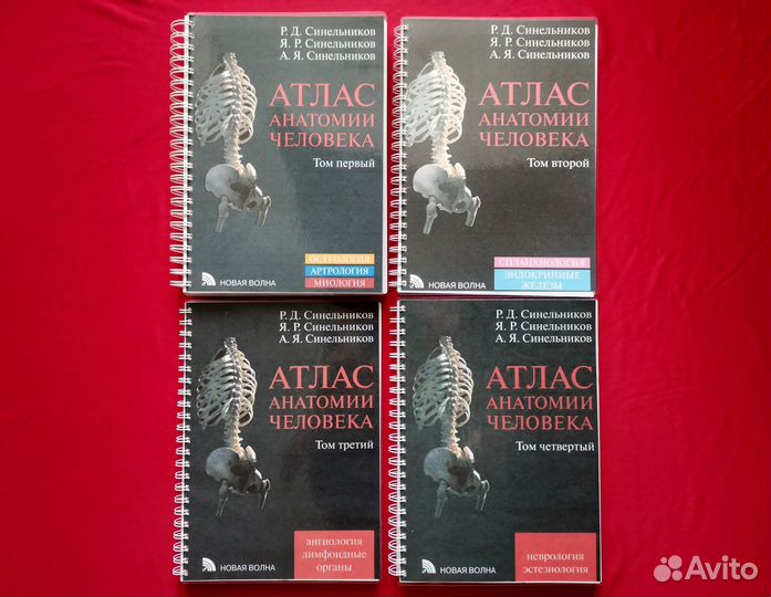 Атлас анатомии человека 2018-2019 гг