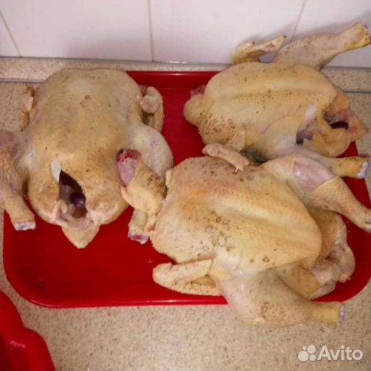 Мясо домашнего бройлера