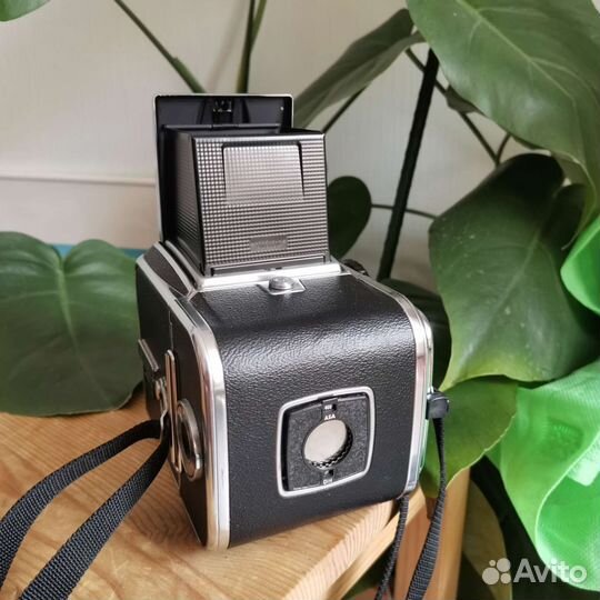 Hasselblad 500C + Carl Zeiss Planar 80 2.8