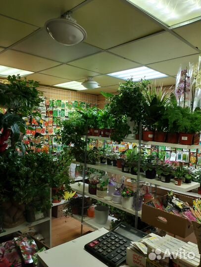 Продаю магазин садовода