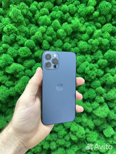iPhone 12 Pro, 256 ГБ