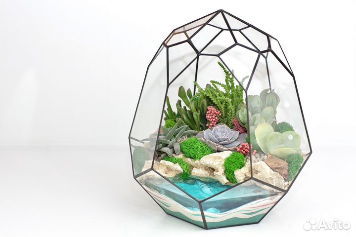 Флорариум с суккулентами на заказ