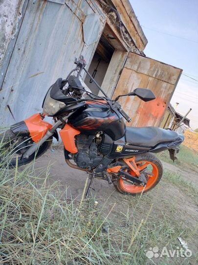 Racer nitro 250