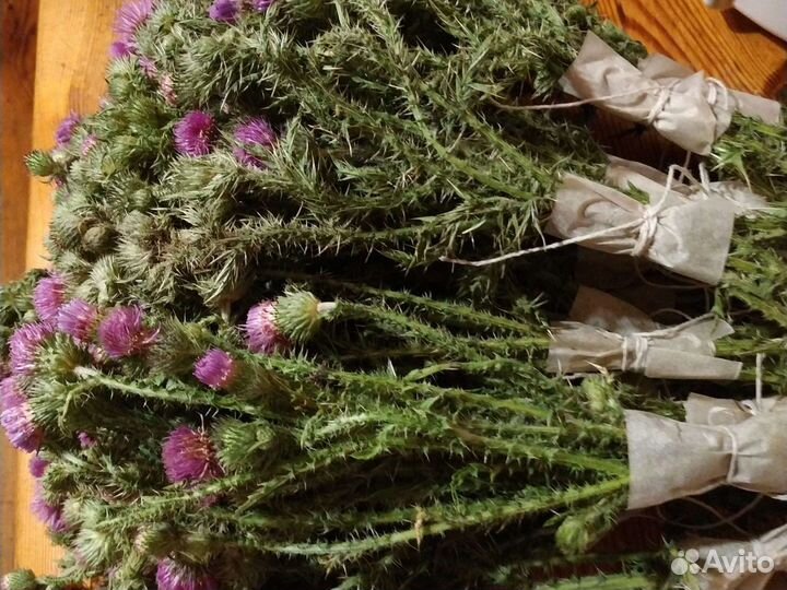 Чертополох сухоцвет букет