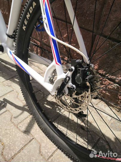 Mongoose Tyax Expert