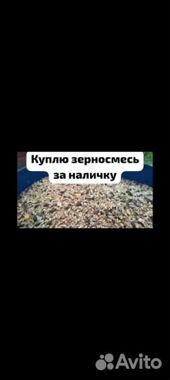 Зерносмесь, ячмень