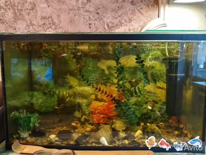 Аквариум с рыбками бу