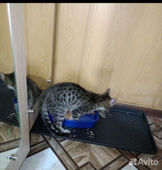 В самые добрые ручки