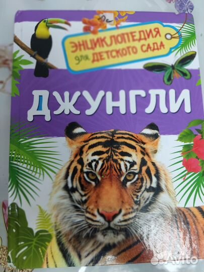 Энциклопедия для детей
