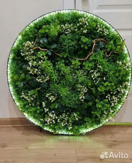 Фитокартина, фитостена