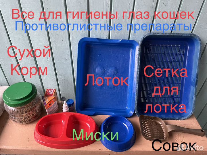 Домик для кошек