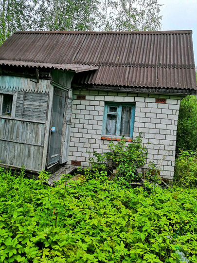 Участок 10 сот. (СНТ, ДНП)