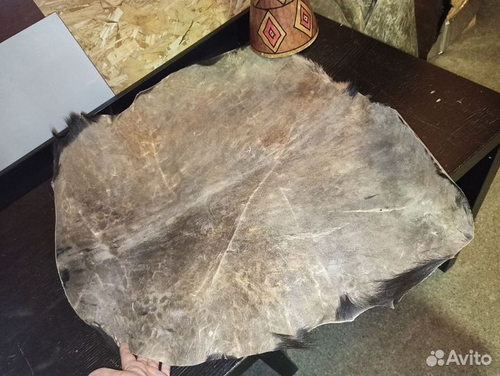 Кожа африканской козы для джембе средней плотности