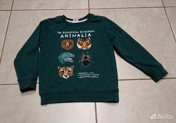 Кофта H&M 4-6 лет