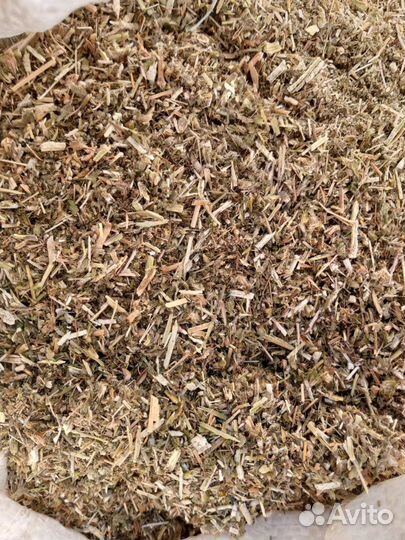 Пустырник сушёный