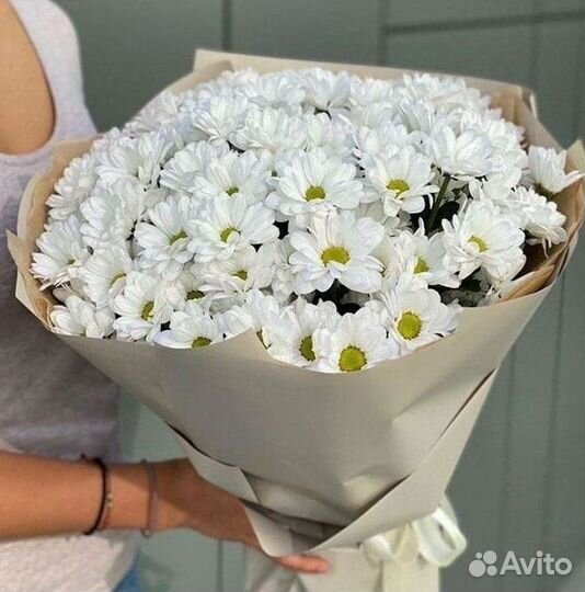 Хризантема. Букеты Цветы доставка