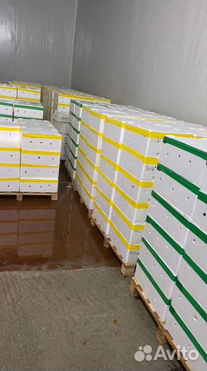 Живые Раки Мелкий Опт от 15 кг