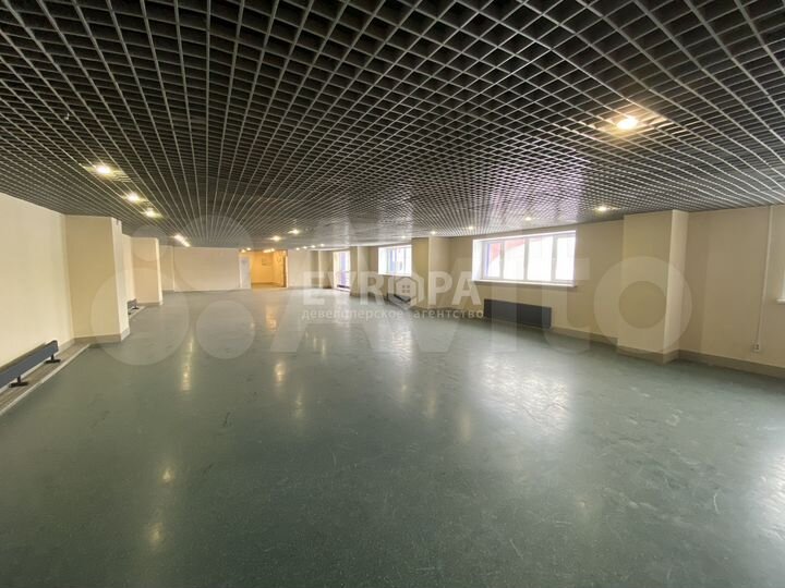 Помещение 236 м²