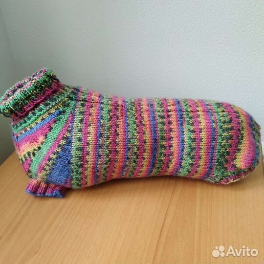 Одежда для кошек и собак