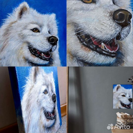 Портрет собаки. Самоед