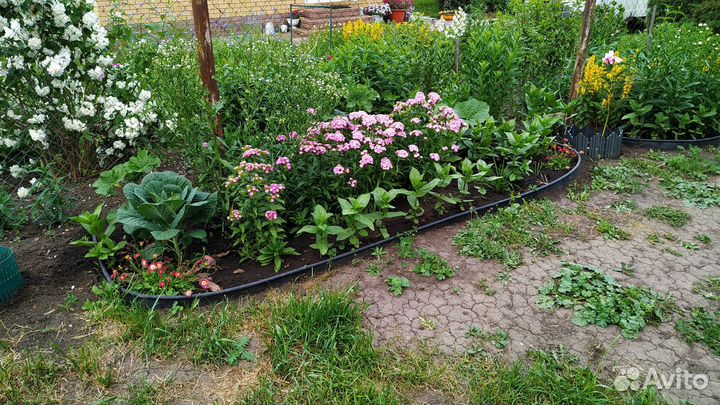 Бордюр канта Н