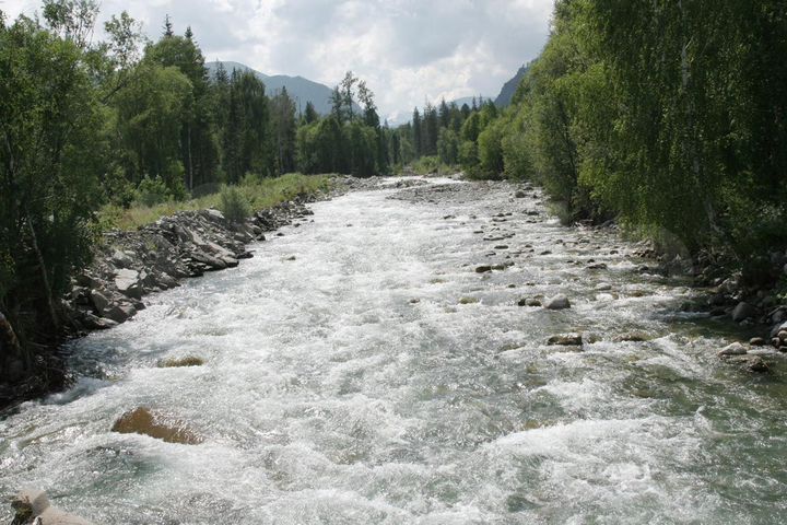 Участок 1,3 га (ИЖС)