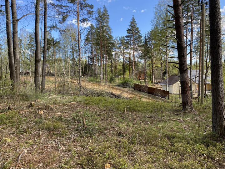 Участок 12,5 сот. (СНТ, ДНП)