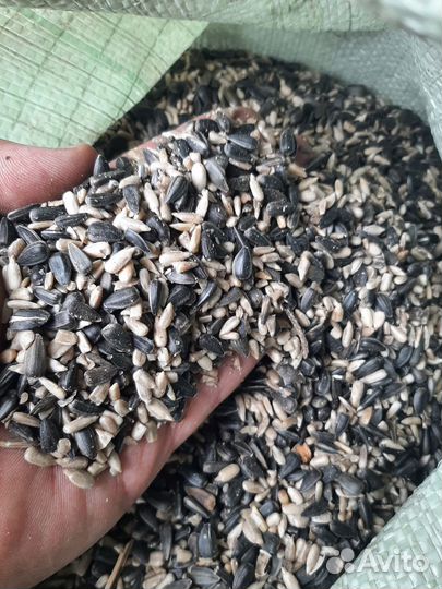 Семечки с ядром подсолнечника мешок 18 кг