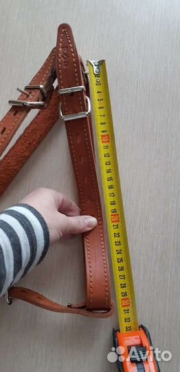 Шлейка и намордник кожаные для средних собак