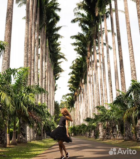 Картина маслом на холсте большая
