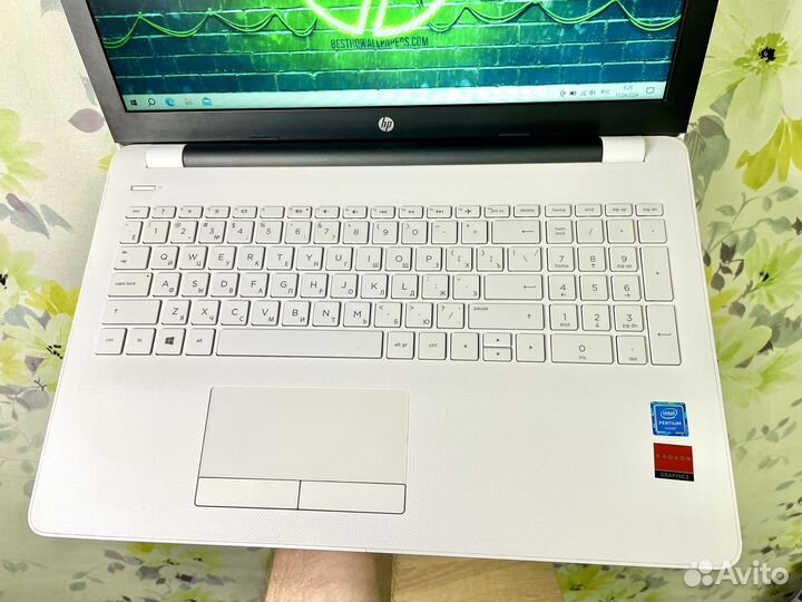 Ноутбук HP для работы и учебы