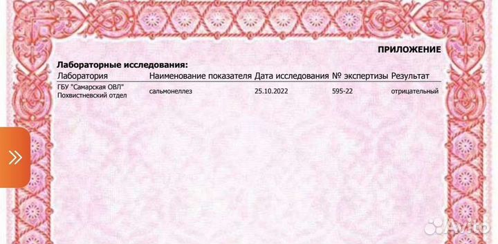 Яйца деревенские