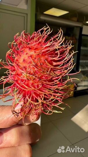 Экзотические фрукты из Таиланда оптом