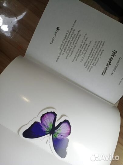 Книги бумажные Жить жизнь,Грех прощения Богинская