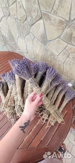 Лаванда сухоцвет