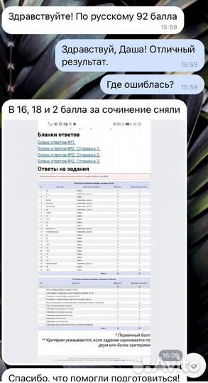 Репетитор по русскому языку и литературе