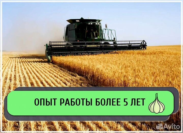 Инвестиции в сельское хозяйство, пассивный доход