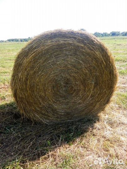 Сено в рулонах