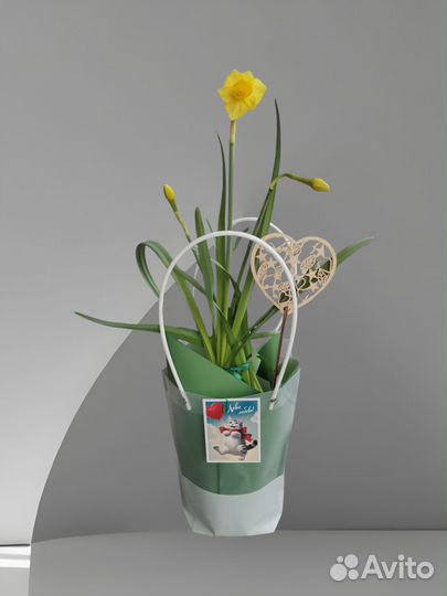 Перво цветы