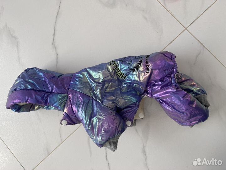 Одежда для собак мелких пород зима