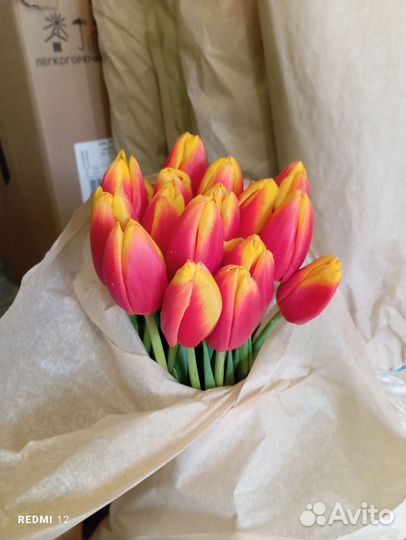 Луковицы тюльпанов