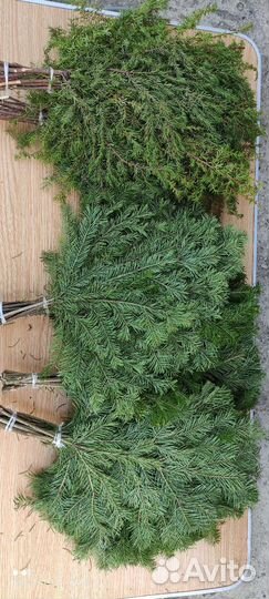 Веники для бани, свежие пихта, можжевельник