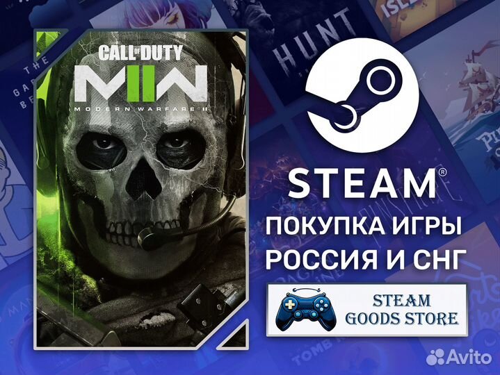 Call of Duty: Modern Warfare 2 (Steam)