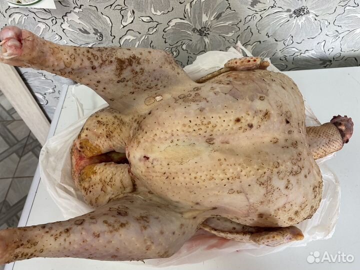 Индюшиное мясо (индюшатина)